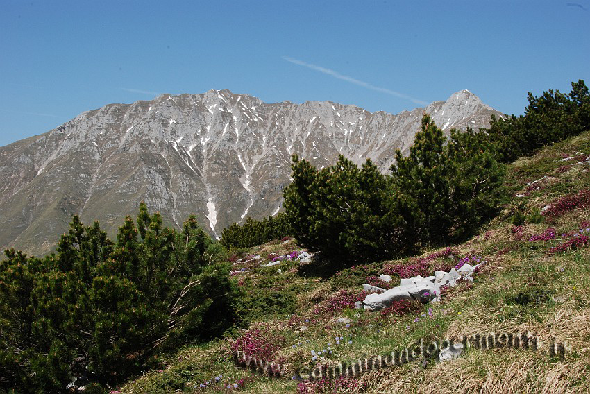 32 Sentiero Rifugio Capanna 2000.JPG